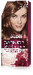 Фарба для волосся Garnier Color Sensation відтінок 6.35 Золотисто-каштановий фото 1