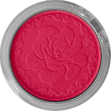 LORENA beauty румяна Silk Blush 04 фото 2