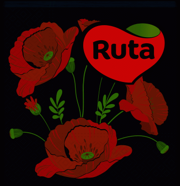 Серветки кольорові Ruta Double Luxe з принтом Квіти 2 шари 24х24 см 40 шт фото 1