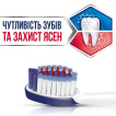 Sensodyne зубна щітка Чутливість Зубів та Захист Ясен, 1шт фото 2