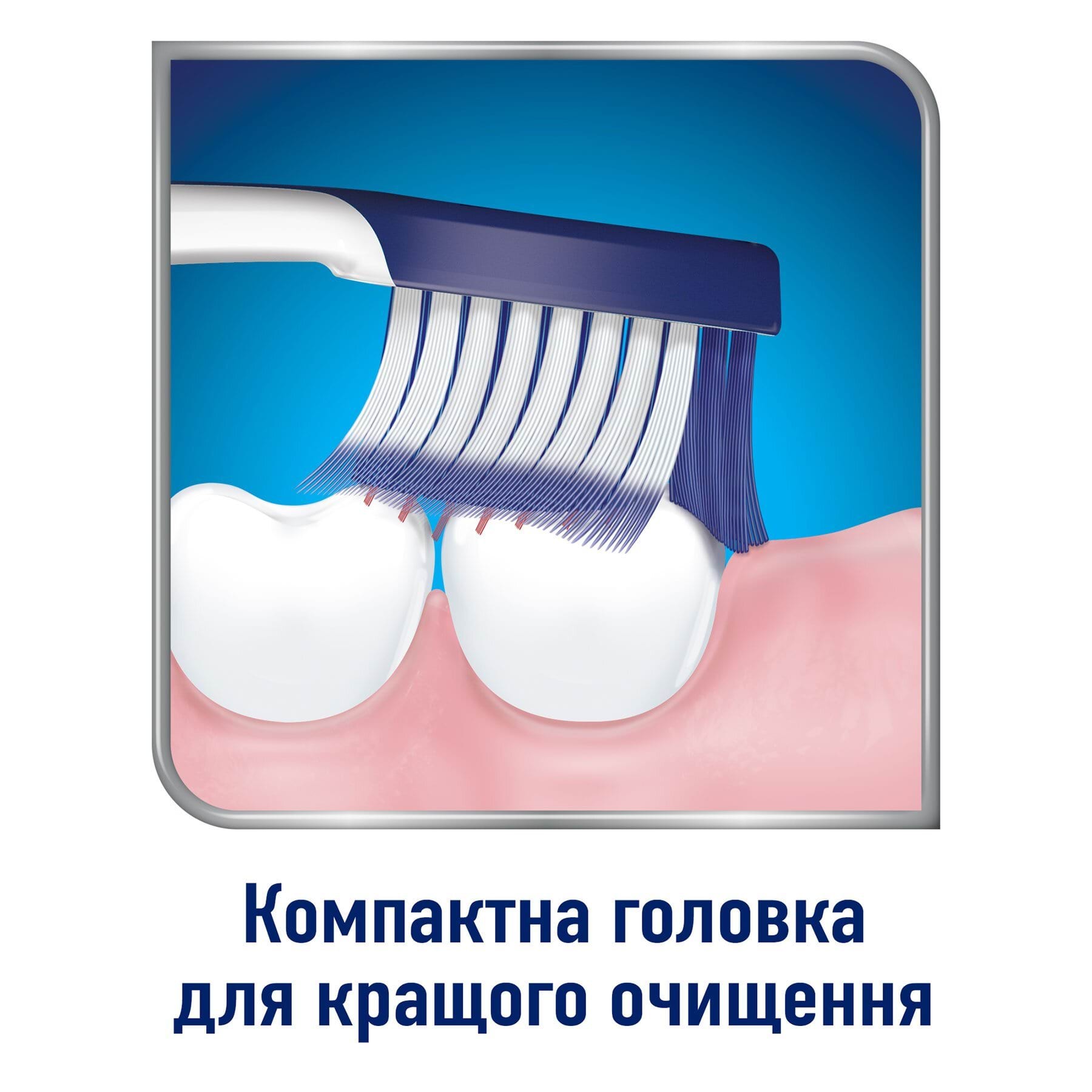 Sensodyne зубна щітка Чутливість Зубів та Захист Ясен, 1шт