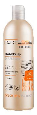 Шампунь Fortesse Professional Color Up&Protect для фарбованого волосся, 400 мл