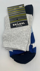 Шкарпетки жіночі Shagal сер. паголенок з малюнком р 23-25 зірки